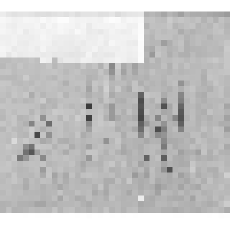 Карточка продовольственная на хлеб Тагунова В.И. Норма 500 гр. в день