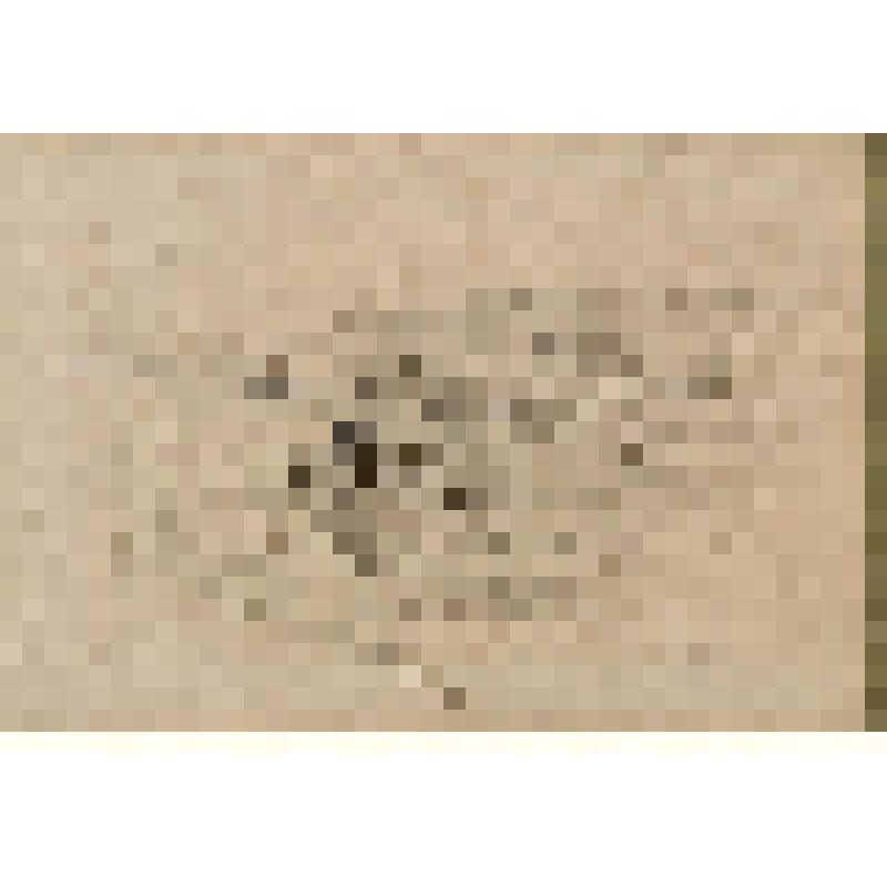 Прибой на волге