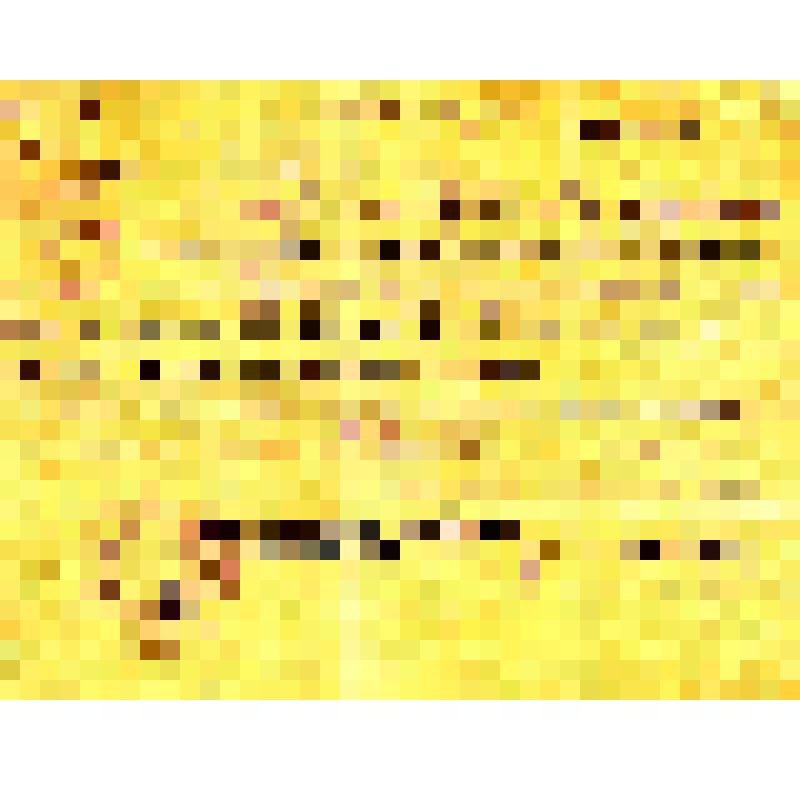 Извещение о пропаже без вести солдата Каретникова Дмитрия Петровича. Документ составлен Междуреченским райвоенкомом подполковником Николаевым в декабре 1947 г. Адресовано матери Каретниковой Евдокии Афанасьевне