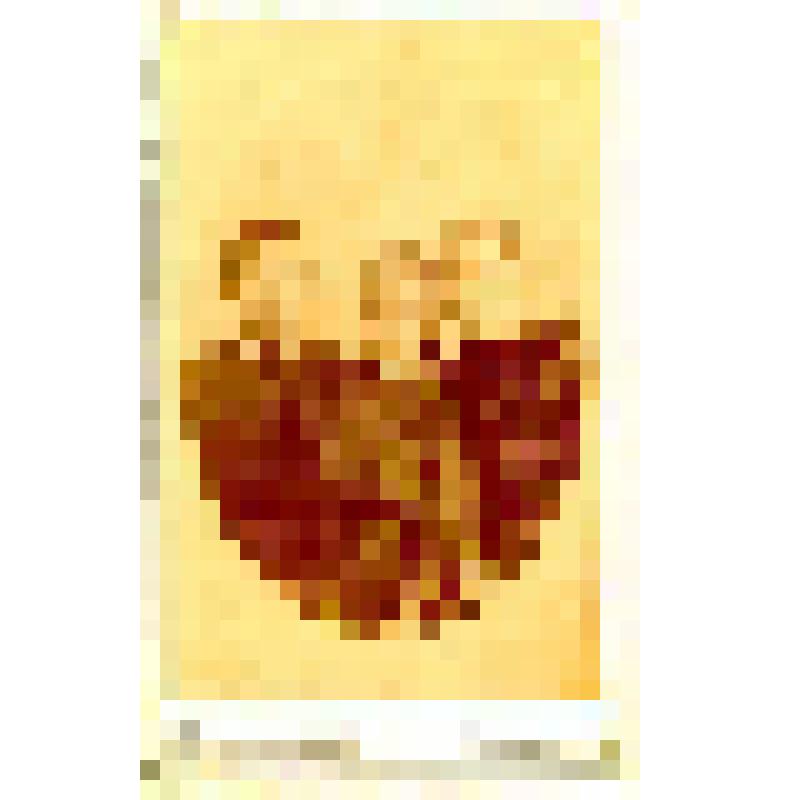 Фотография. Женщина с двумя детьми. Семья знакомых/родственников Чапиных