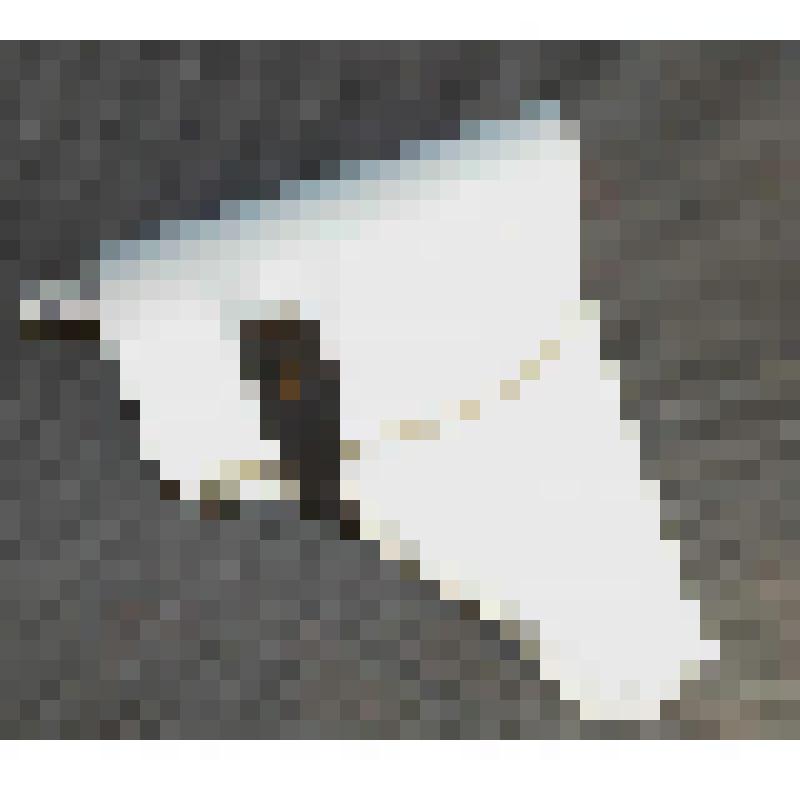 Кобура - часть обмундирования сотрудника милиции