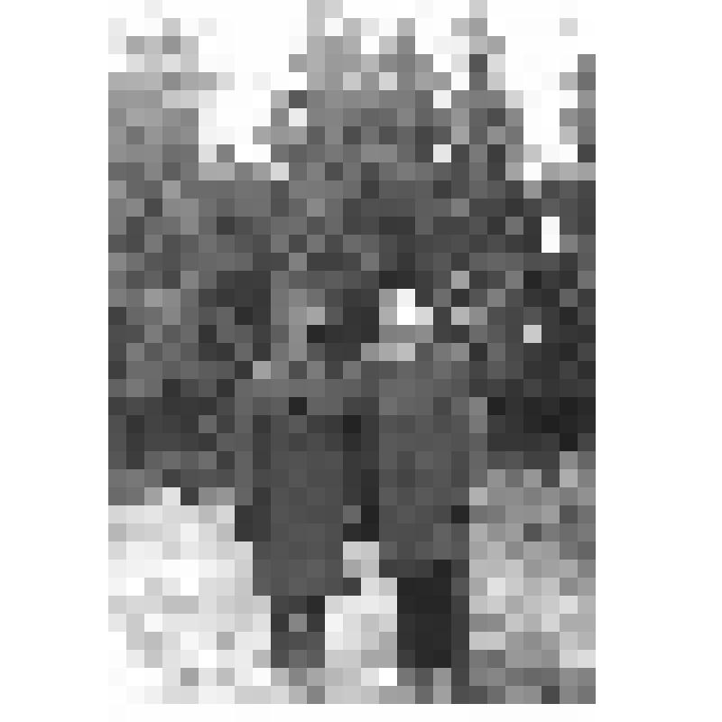 Фотопортрет парный: Брижан Д.А. с женой