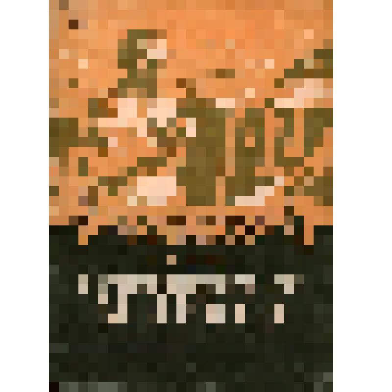 Брошюра. Первооткрыватель угля М.И. Югов