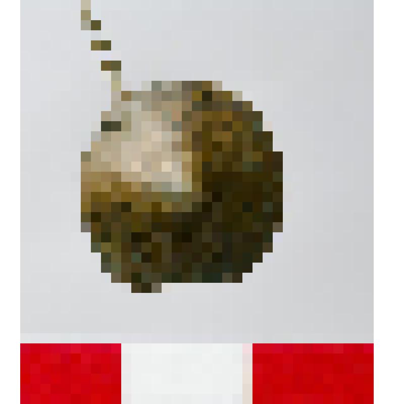 Бляшка. Случайная находка