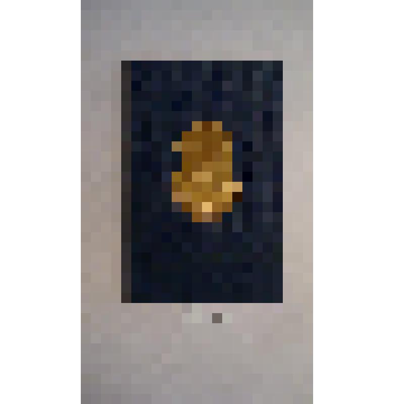 Синяя дощечка с портретом Л.Н. Толстого, золотом