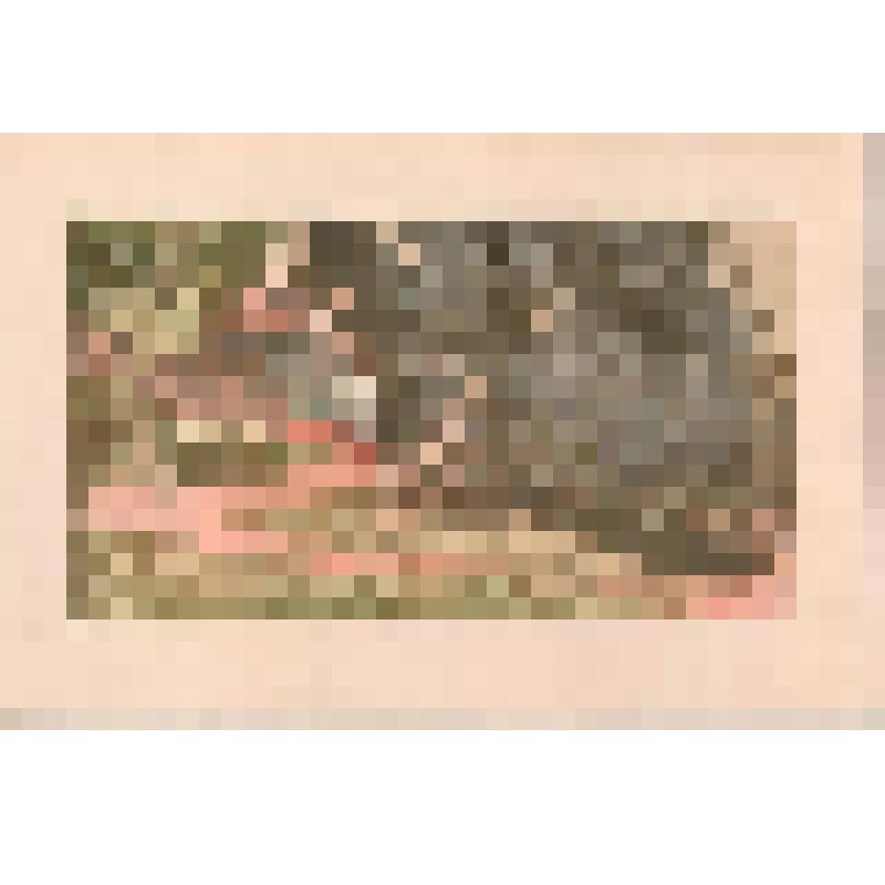 Линогравюра. Пейзаж