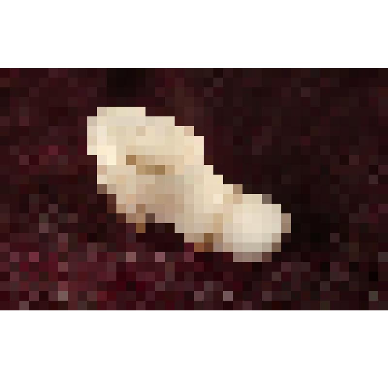 Коробка с костяными бирюльками: башмак