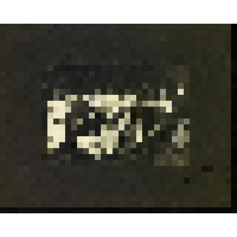 Фотография. Бахрушин А.А. Аксагарский Н.Ф. Мозжухин И.И. в группе артистов Введенского народного дома