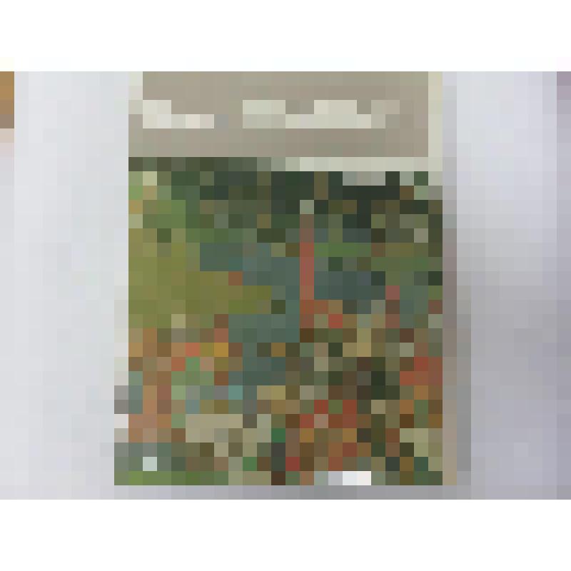 Книга. Иван Билибин. Альбом. Автор-составитель С.В.Голынец. Художник И.И.Птахова