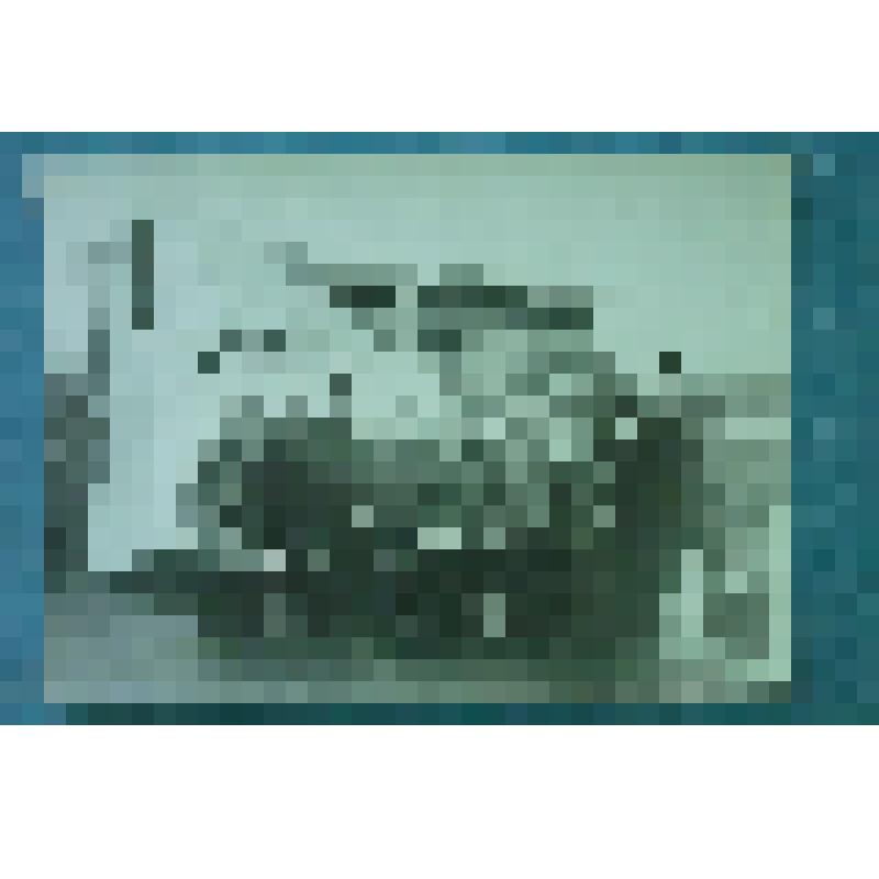 Фотография групповая