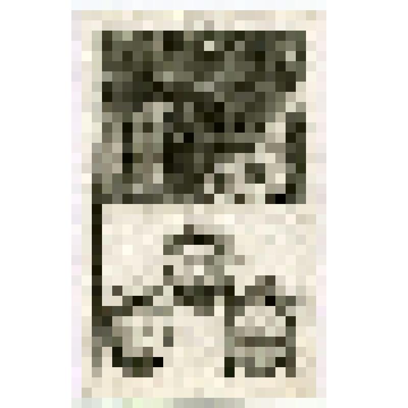 Офорт. Лист 174. Ангел освобождает посаженных саддукеями Апостолов. Савл преследует последователей Христа. Явление Ангела Филиппу. Филипп и эфиопский вельможа (Деян. 5, 8)