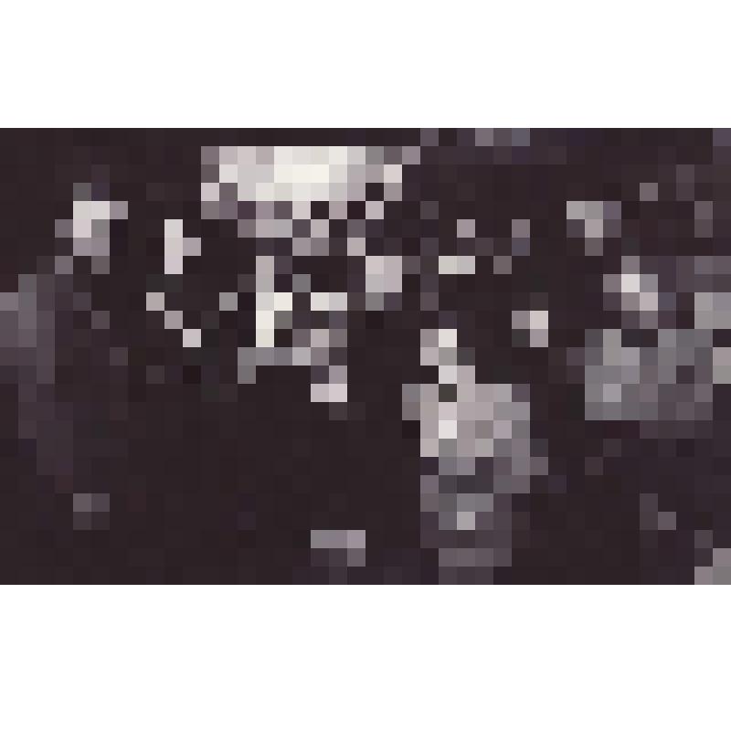 Фотография черно-белая. На открытии выставки «Судьбы узников ГУЛАГа» в Музее истории политической ссылки