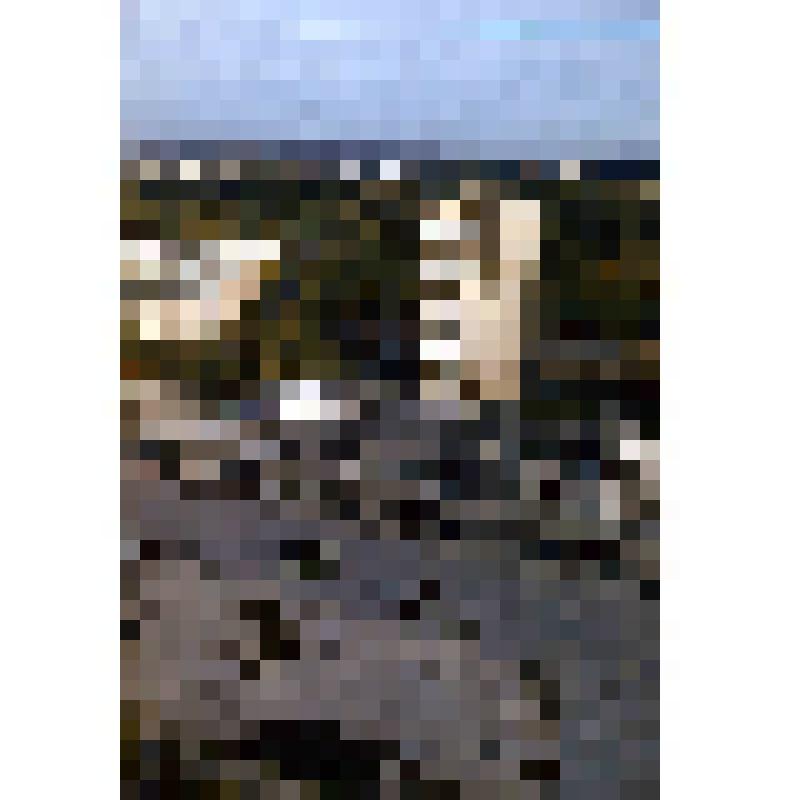 Диапозитив. Площадь Юности. Первый микрорайон. (280)