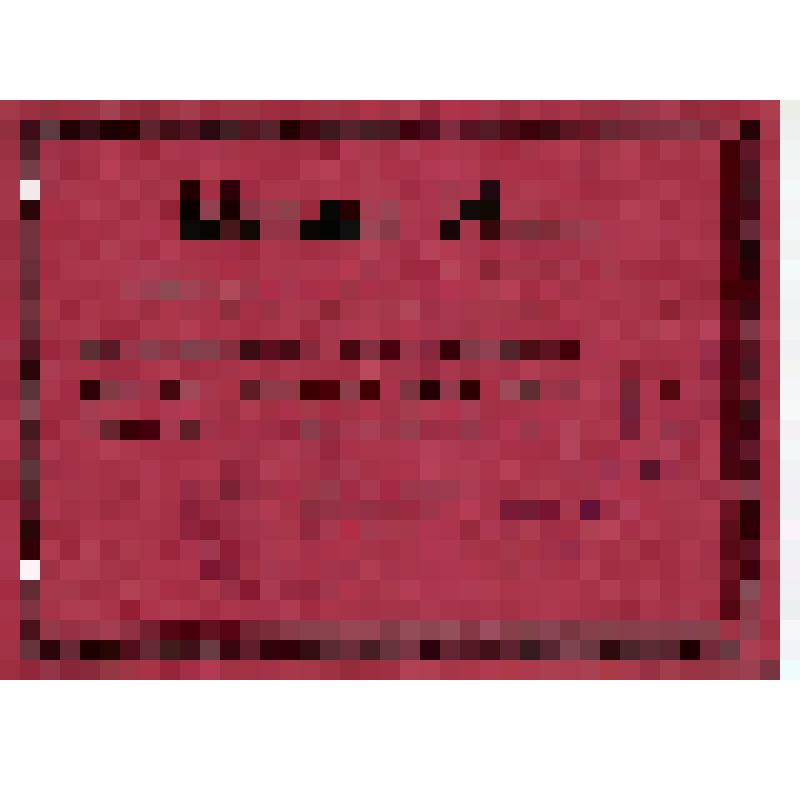 Мандат N17 т. Прыткова И.Д., члена фракции РКП (б) Ульяновского губернского съезда Советов