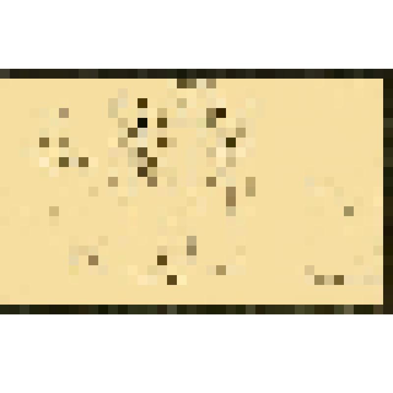 Иллюстрация к повести Кассиля Л.А. "Кондуит и Швамбрания". Графика