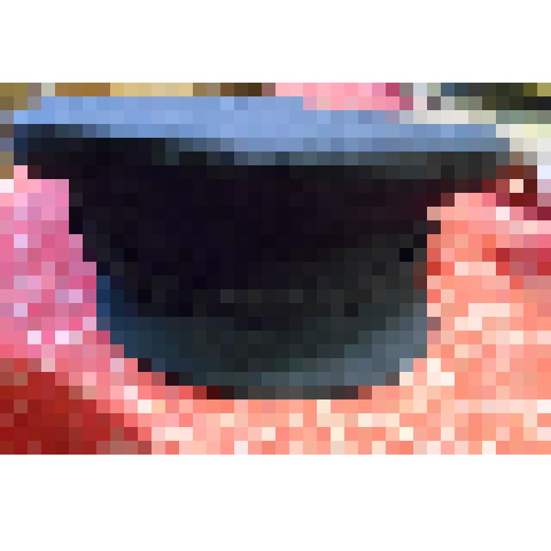 Фуражка - убор головной