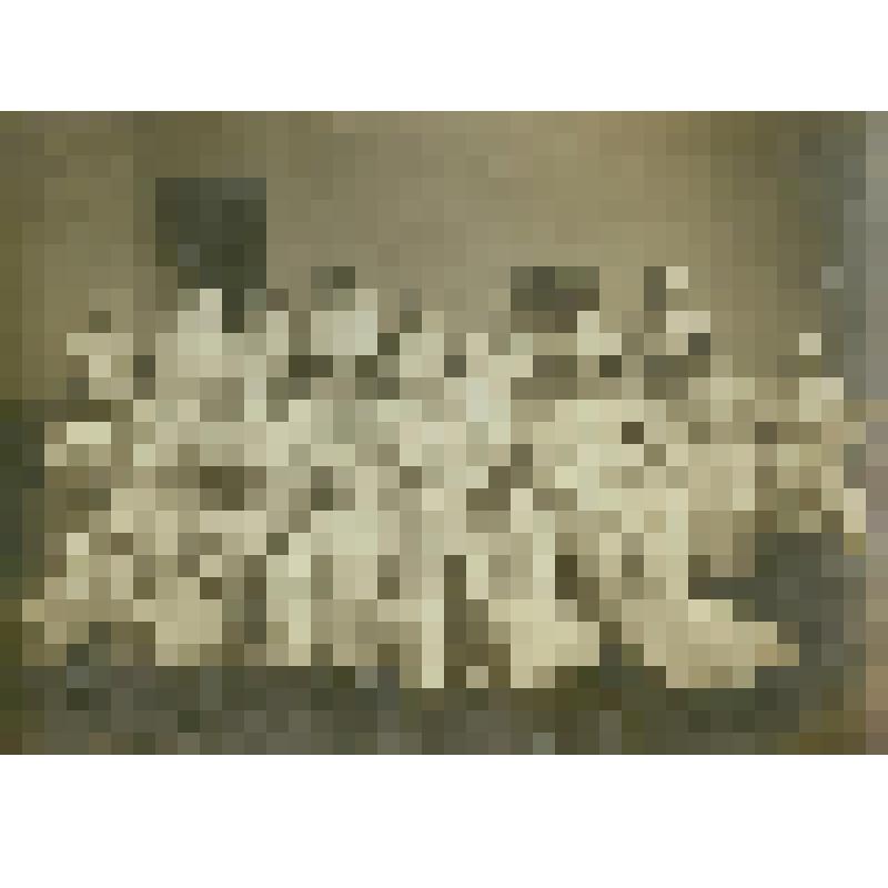 Фотография. Гуткины Анна и Фаня, медсестры госпиталя г. Саратова