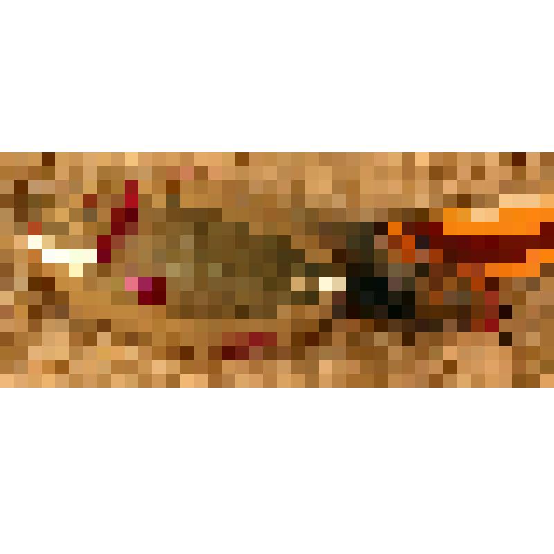 Игрушка елочная. Рыбка (серебристо-розовая), из коллекции игрушек для Новогодней елки