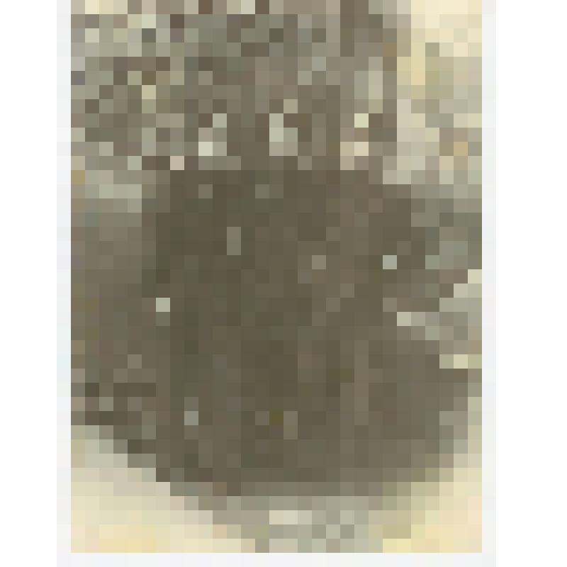 Фотография. Учащиеся Саратовской спецшколы ВВС № 8 Шашкин Н. и Цыпцин Н. с одноклассником у самолета УТ-2 во дворе учебного заведения