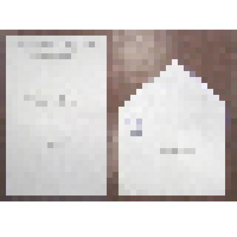 Пригласительный билет Степановой А.И. На английском языке