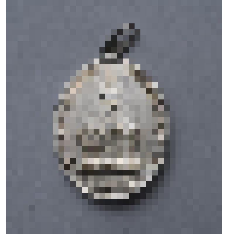 Образок с изображениями пр. Серафима Саровского и часовни над его могилою