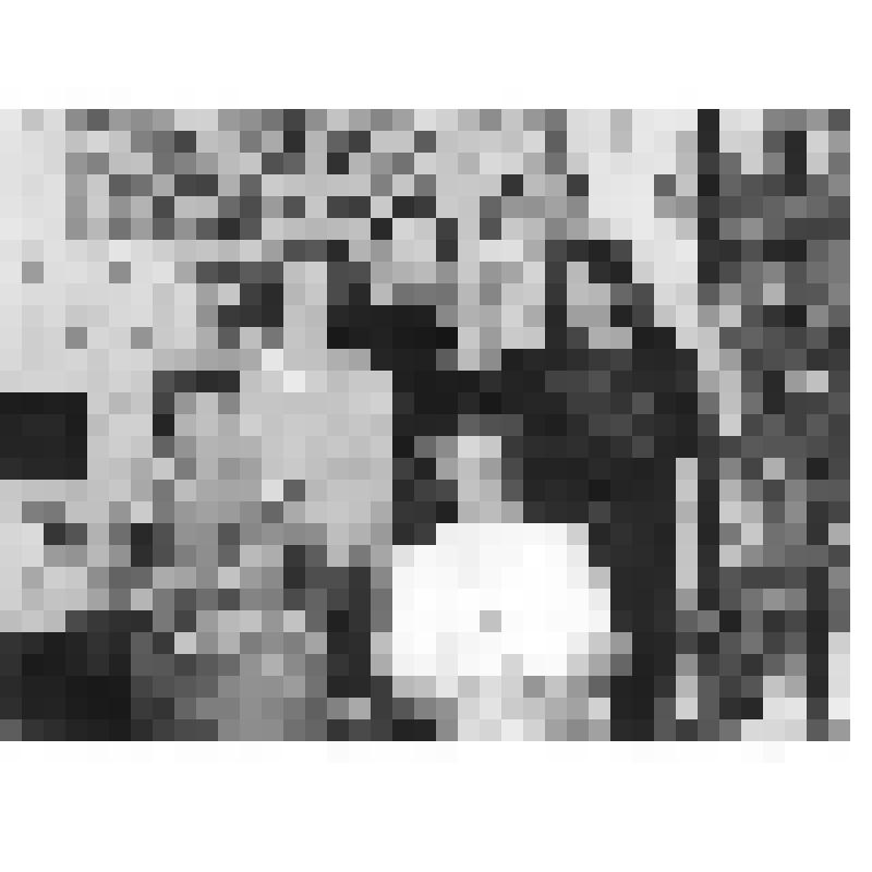 Фотография. Сотрудники и корреспонденты областной детской газеты "Остров сокровищ" в редакции газеты