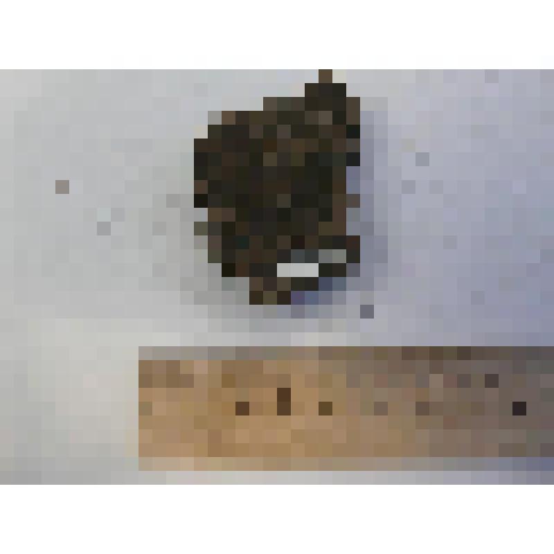 стенка. Археологический памятник: Билярское городище нач. Xв. - 1236 г