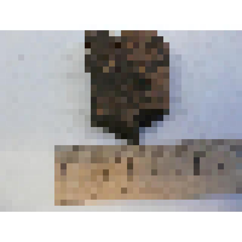 стенка. Археологический памятник: Билярское городище нач. Xв. - 1236 г