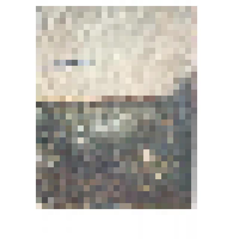 Открытка репродукция картины П. Соколова