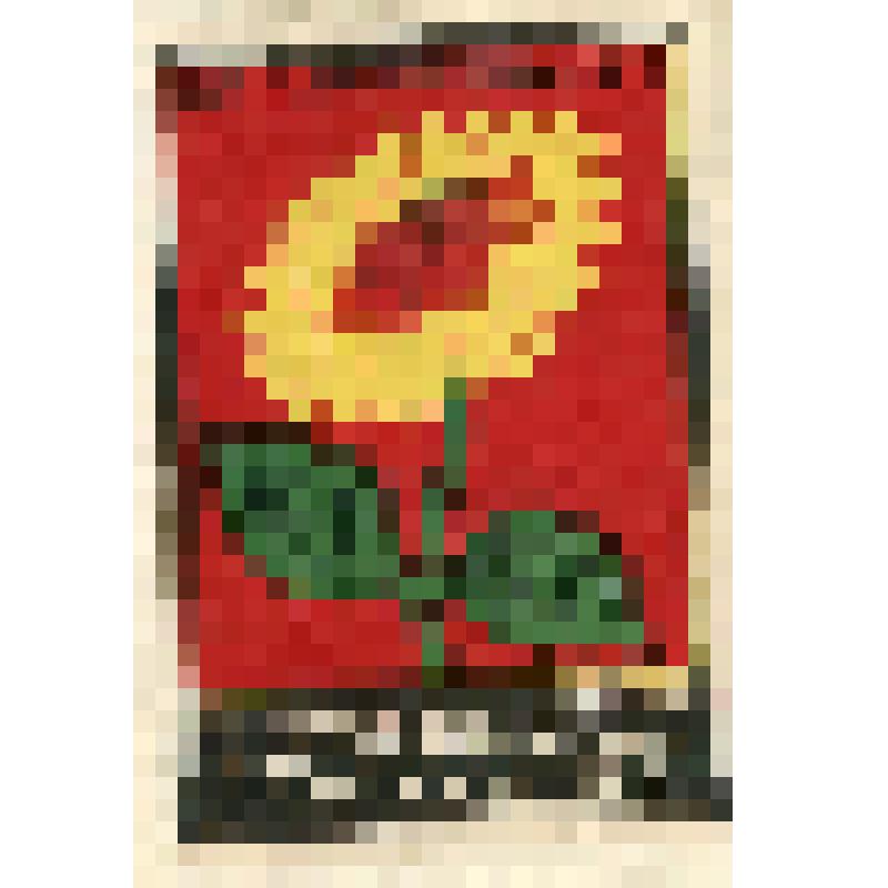 Этикетка спичечная. Подсолнух