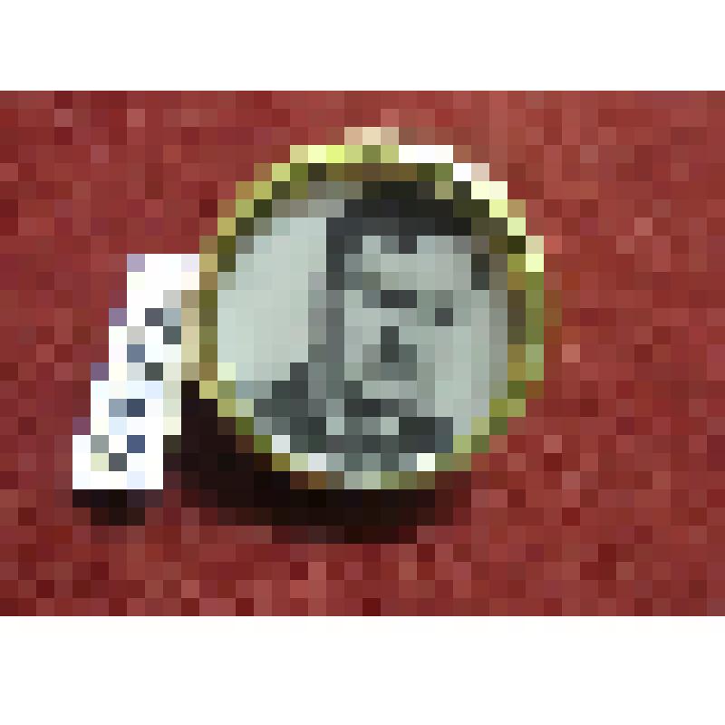 Значок. П.Р.Попович