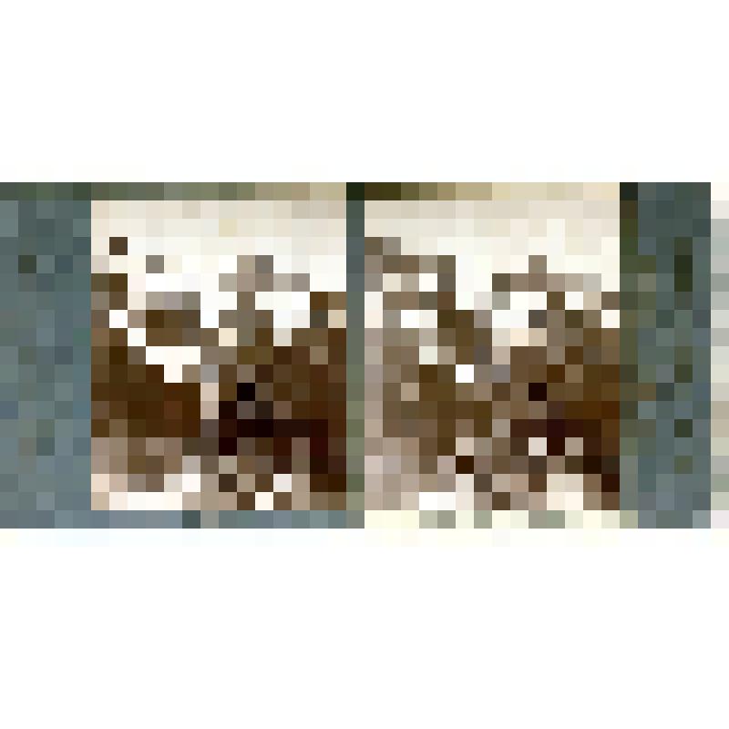 Карточка для стереоскопа «Буульгенский отрог 12846 ф. и гор. потоки в дол. р. Чотчи; за ним вершина Домбай-Ульген 1-й 13236 ф. н. у. м.». Из коллекции «Кавказ» с видами природы Зап. Кавказа, серии 2-№34. Фото Н. Минервина