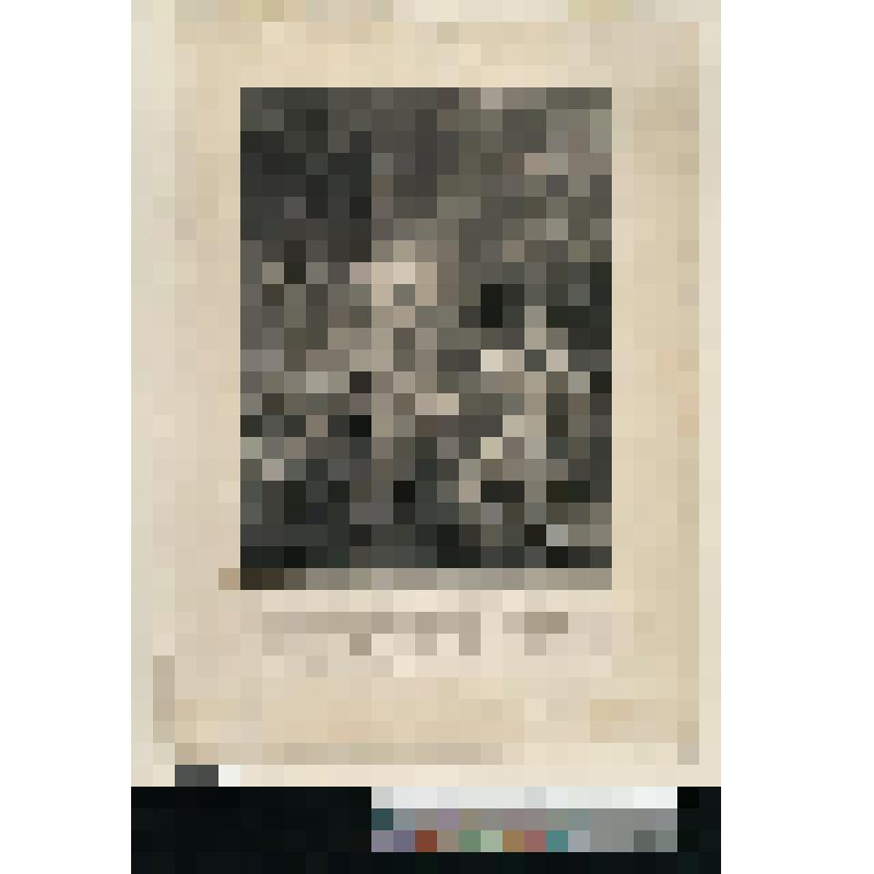 Аллегорическая сцена на смерть Мирабо. "Dernieres paroles de Mirabeau". "J'emporte avec moi…les lambeaux"  "Sa France en pleurs …l a felicite publique" "A Paris chez l' Auteur №112" "Imprimee par De Roy"