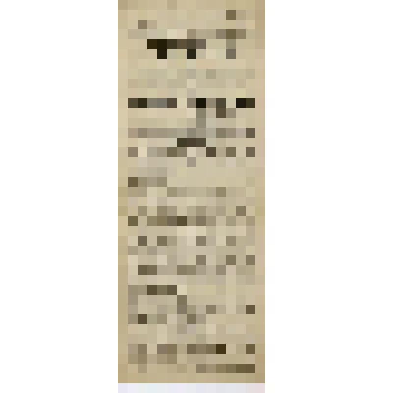 Объявление о выступлении гордости города Красноярска короля воздуха П.И. Райхельсона (Жорж Вильямс) 21 октября 1922 года в цирке Варьетэ г. Красноярска, с шуточными известиями красноярской радио-телеграфной станции из городов мира о гастролях П.И. Райхель