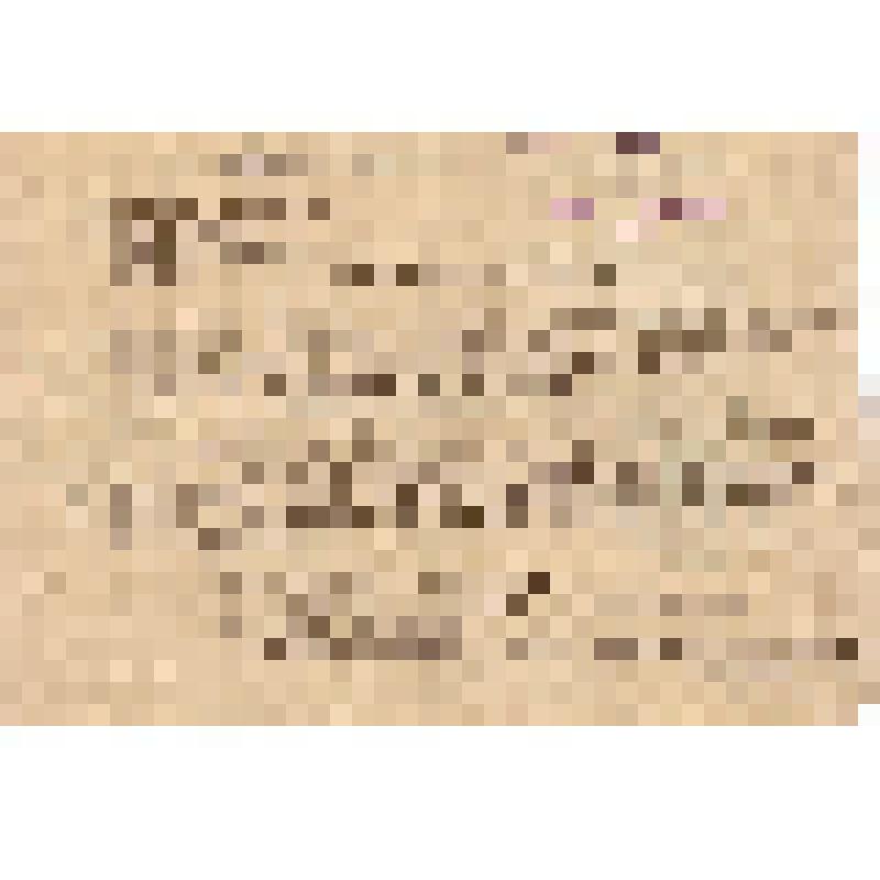 Предписание районного военного комиссариата о явке на пересыльный пункт в г. Сталинград для направления на работу всех военнообязанных