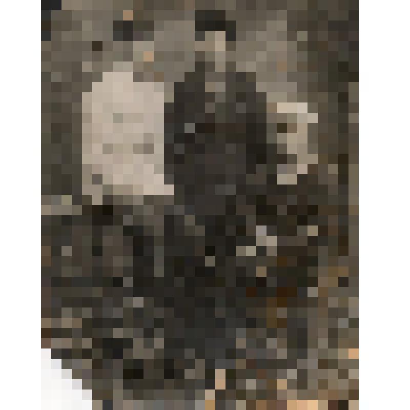 Фотография. Жуков В.И., Шишацкий И.В., Докучаев М.С. Комсомольцы 20-х.  На фото трое молодых мужчин