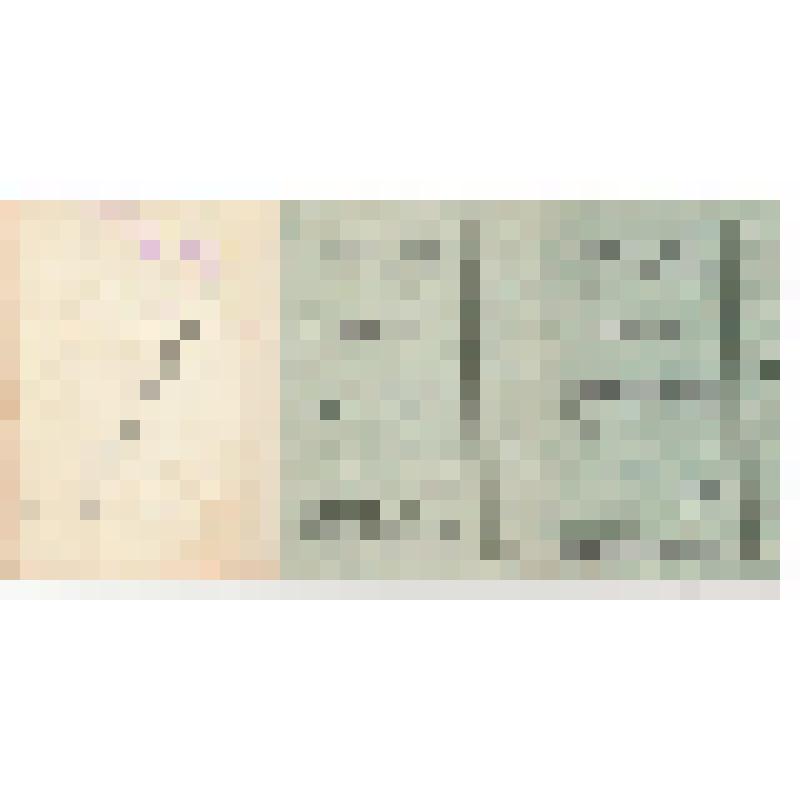 Билеты проездные к орденской книжке №749732 Осиповой Н.М