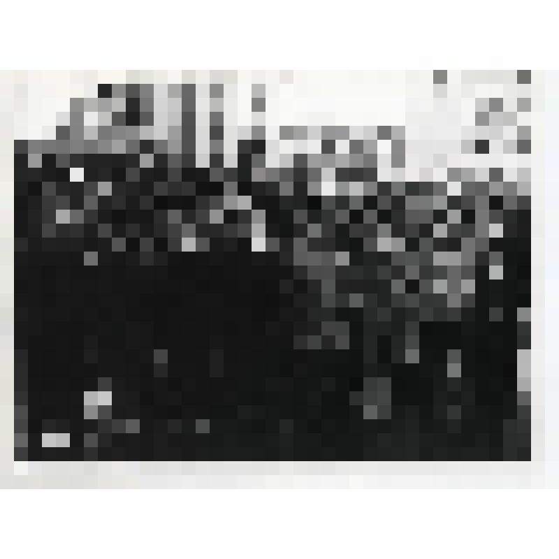 Фотография. 60-летие Всесоюзной пионерской организации