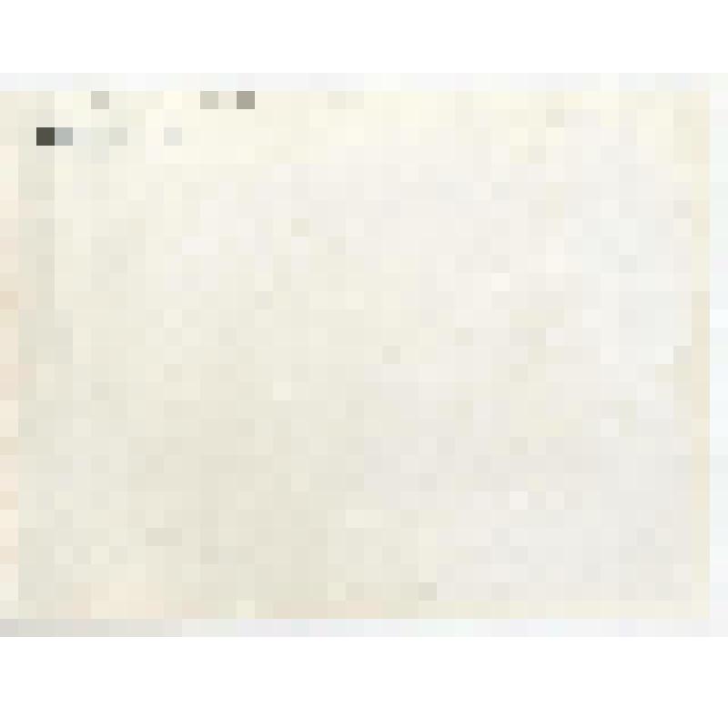 Фотография. 60-летие Всесоюзной пионерской организации