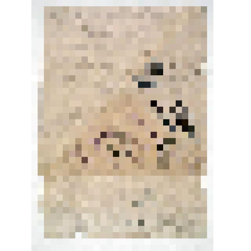 Письмо фронтовое Багрецова Алексея сестре Марии в Челябинск