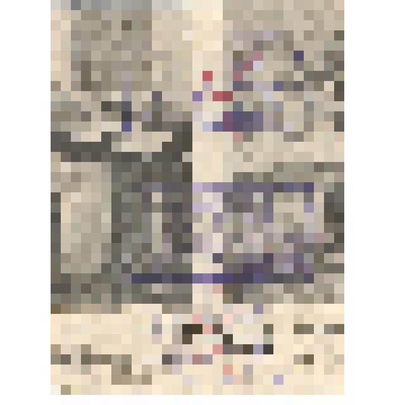 Вырезка  из печатного издания. Н.В. Галкин (по поводу 25-летия артистической деятельности). XIX в., конец. Россия