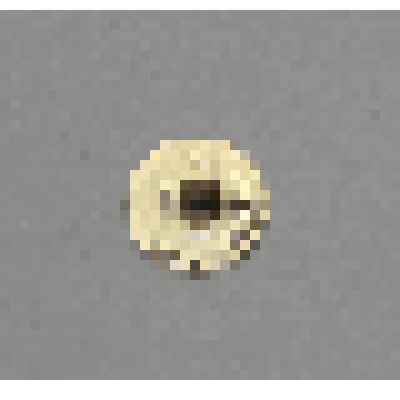 Значок "Хоккеисты СССР - чемпионы мира. Франция 1968"