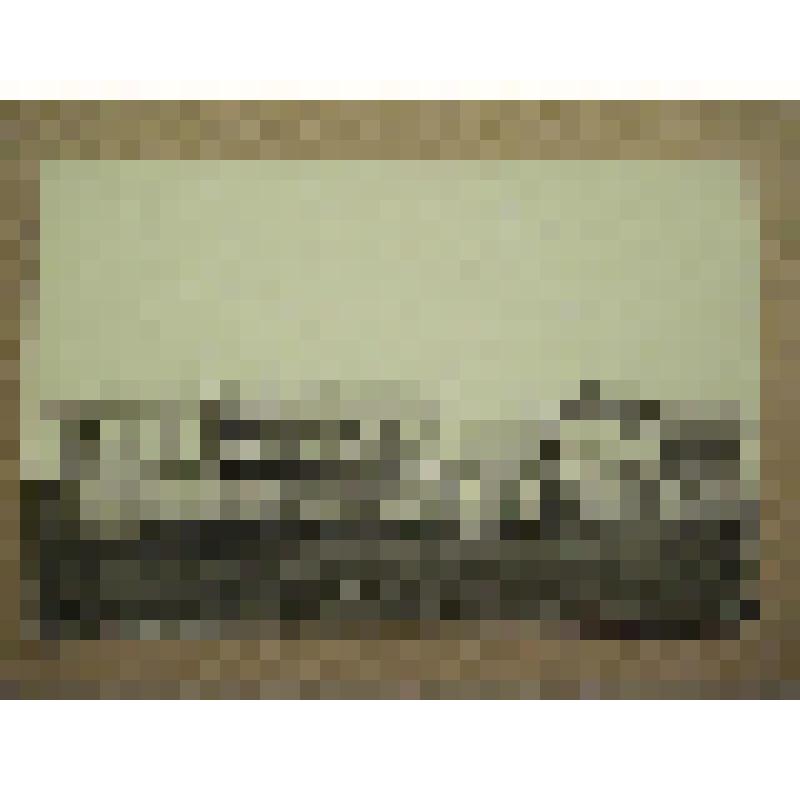 Дом муллы. Татарстан, с. Балтаси. Дом муллы. Общий вид