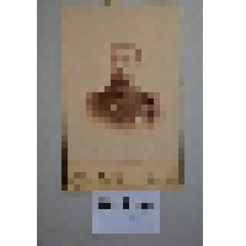 Фотография. Черно-белая. На фирменном паспарту. Дунаевский Николай Николаевич. (из альбома Дунаевских)