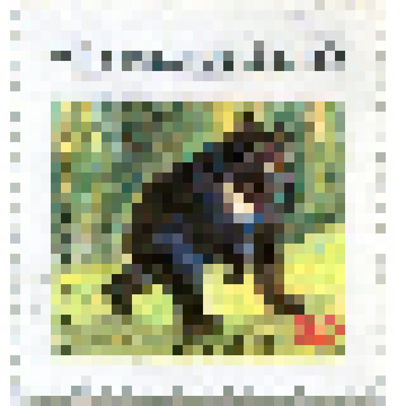 Марка почтовая. Животные. Медведь гималайский (Ursus thibetanus). Номинал 50 вьетнамских су