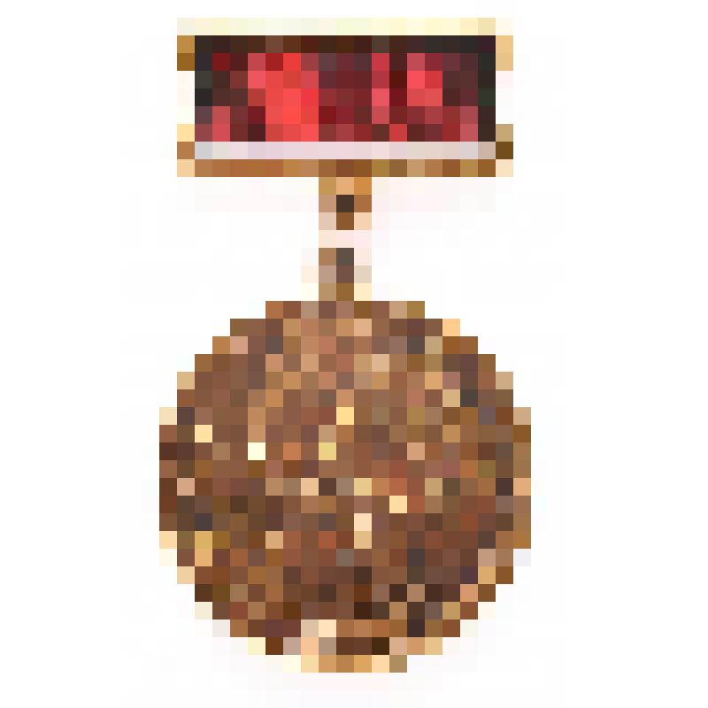 Знак нагрудный. Всесоюзный ударный отряд имени Ю.А.Гагарина. Из комплекта: Коллекция фалеристическая военной и советской тематики