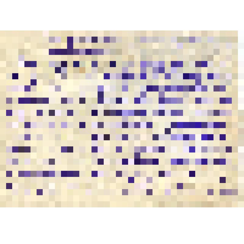 Выписки (перевод на рус. яз.) из  из книги Хэмптона-? о кино