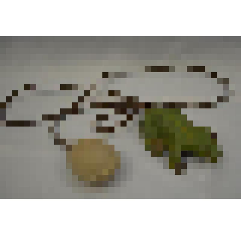 Игрушка. Лягушка прыгающая