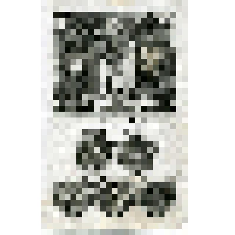 Офорт. Лист 155. Тайная вечеря. Бичевание, одевание тернового венца. Распятие. Погребение. Охрана у гроба (Мф. 26, 27)