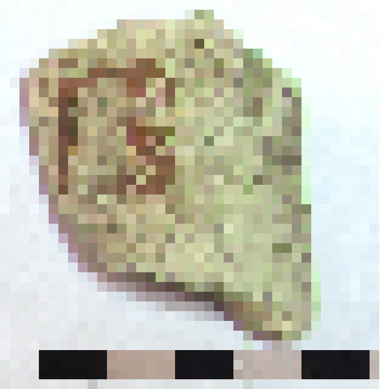 Фрагмент горла амфоры типа D с дипинти